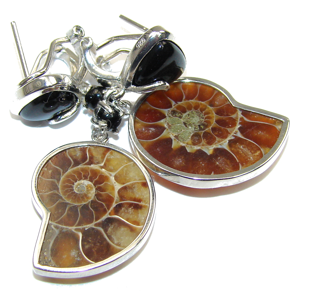 Amazing Shell Ammonite Fossil & Onyx Sterling Silver earrings