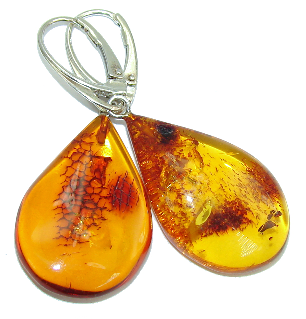 Amazing Baltic Polish Amber Sterling Silver Earrings