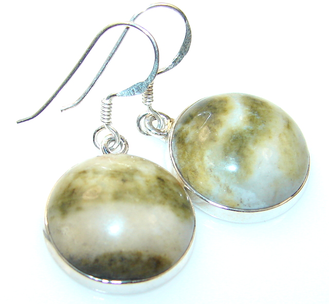 Amazinig Landscape Jasper Sterling Silver earrings