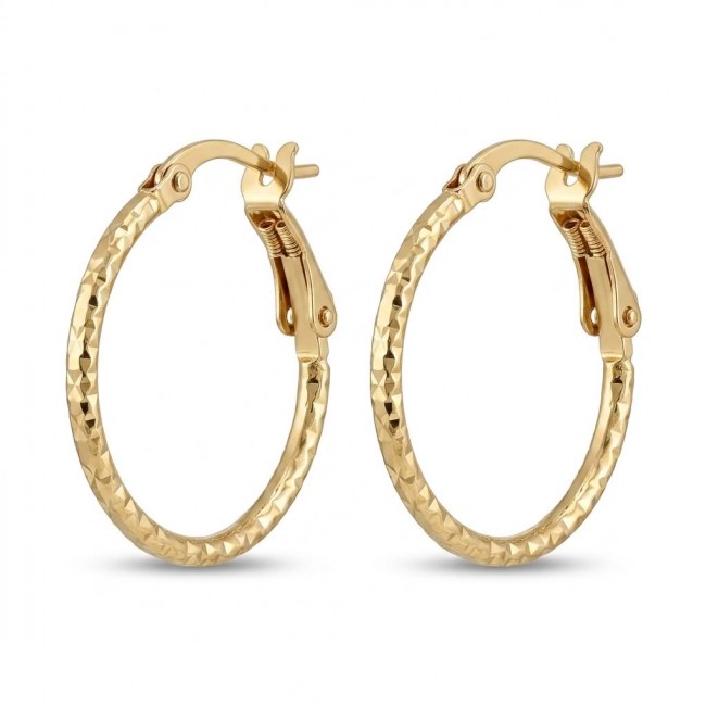 Allure Golden tone handcrafted Stylish midium size Hoop earrings