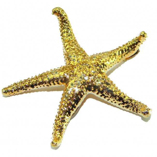 Stylish REAL Starfish Coved with Sterling Silver and 14K & .925 Sterling Silver Pendant