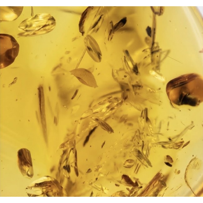Sea Treasure Prehistoric Authentic Baltic Amber .925 Sterling Silver beautifully handcrafted Pendant - Close-up of Baltic amber with inclusions, golden hue