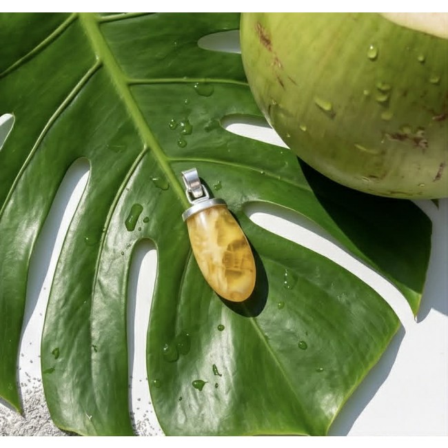 Sea Treasure Prehistoric Authentic Butterscotch Baltic Amber .925 Sterling Silver beautifully handcrafted Pendant - Amber pendant on leaf next to coconut, top-down view.