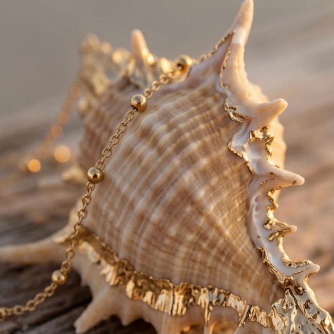 Vitamin Sea Large Oceab Shell 14K Gold over .925 Shell Sterling Silver necklace - Close-up of 14K gold-adorned ocean shell with chain details.