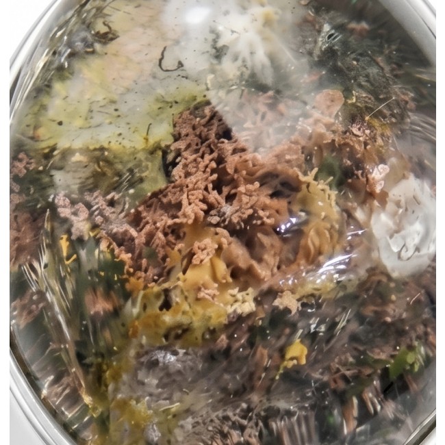 The best quality genuine 19.5 carat Phantom Quartz .925 Sterling Silver handmade Statement Ring s. 7 adjustable - Close-up of 19.5 carat Phantom Quartz stone jewelry piece.