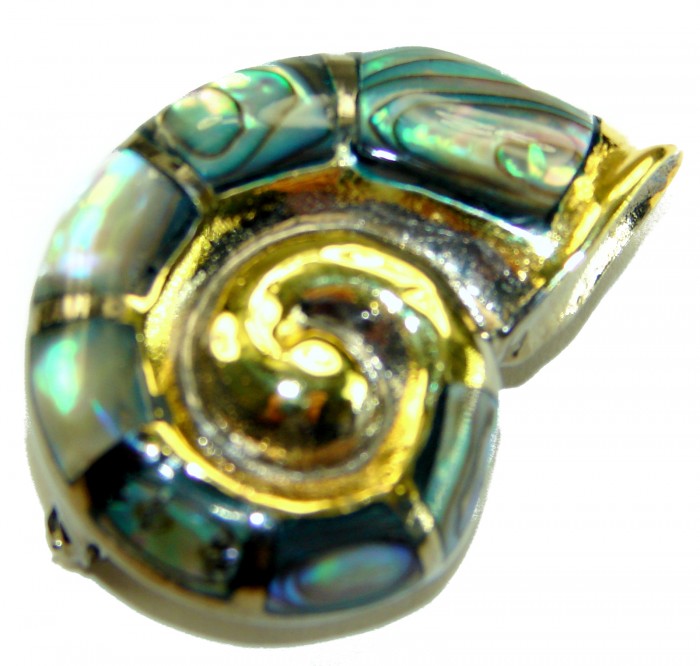 Atlantis Natural Rainbow Abalone 18K Gold over .925 Sterling Silver handmade Pendant - Ammonite-shaped abalone pendant with gold detail close-up.