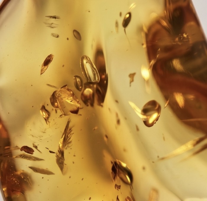 Prehistoric Authentic Golden Baltic Amber .925 Sterling Silver beautifully handcrafted Pendant - Close-up of prehistoric golden Baltic amber with inclusions.