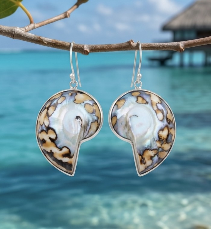 Fabulous Nautilus Ocean Shells .925 Sterling Silver handmade earrings - Nautilus shell earrings on branch, ocean background.