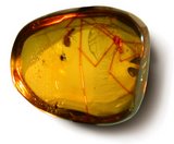 Amber