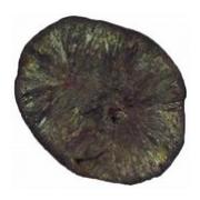 Marcasite