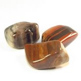 Petrified wood