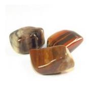 Petrified wood