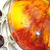 amber Earrings
